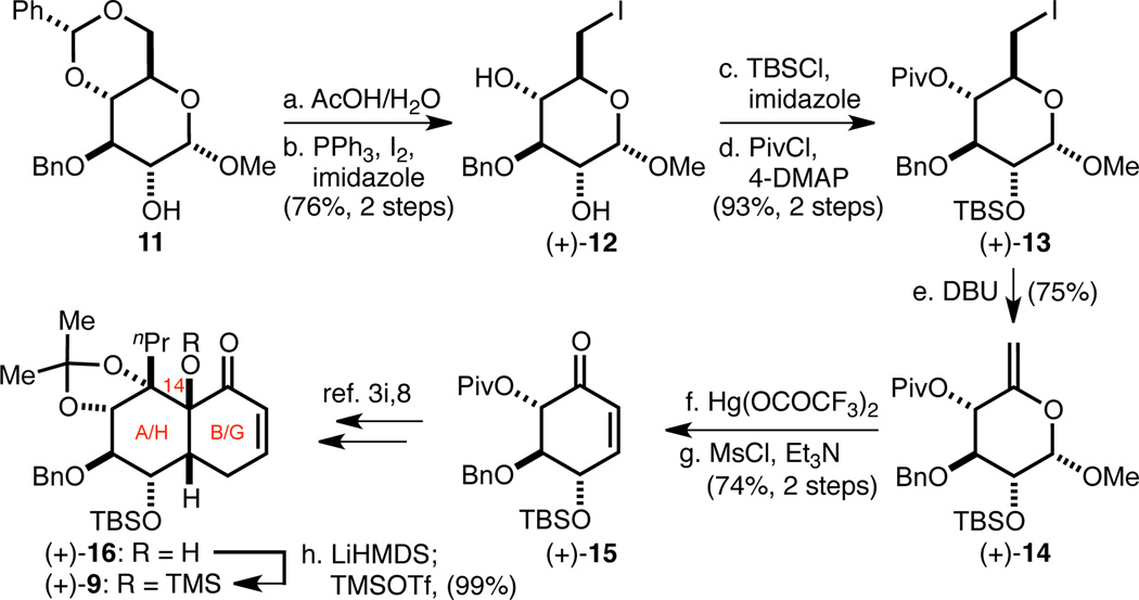 Scheme 3