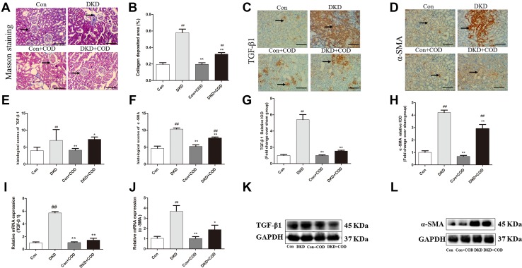 Fig. 7