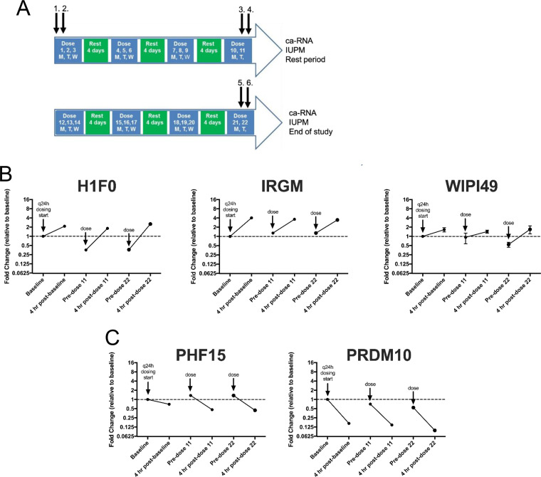 FIG 10