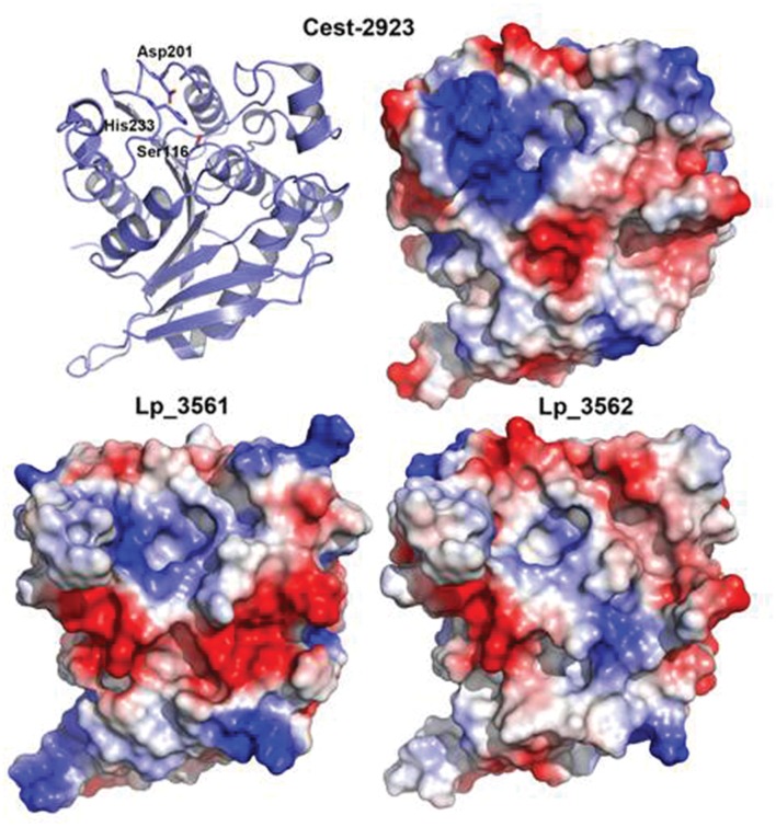 FIGURE 6