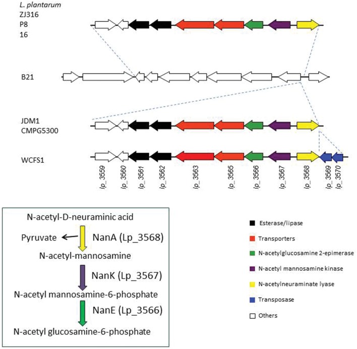 FIGURE 7