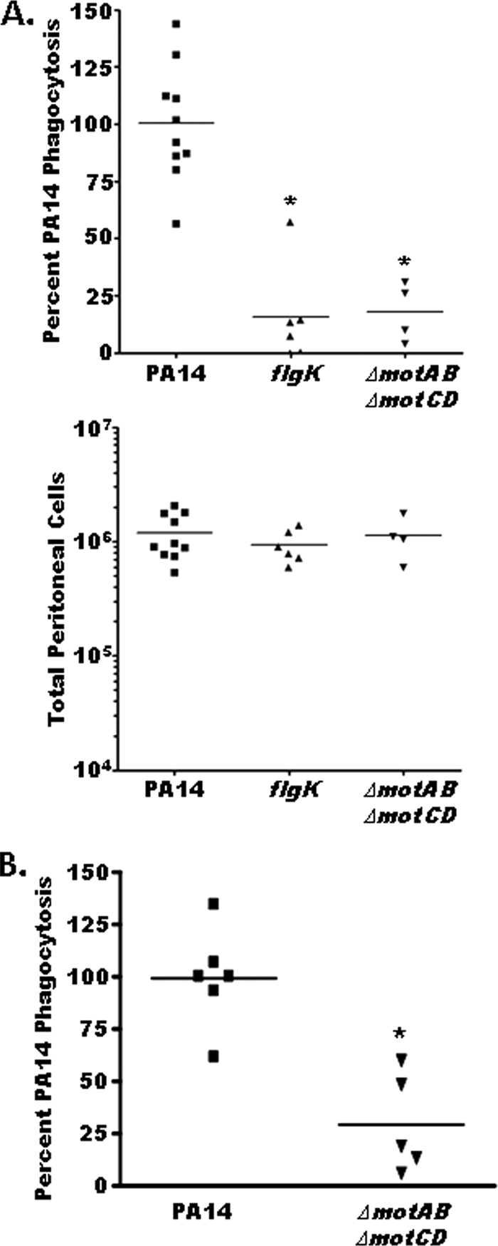 FIG. 6.