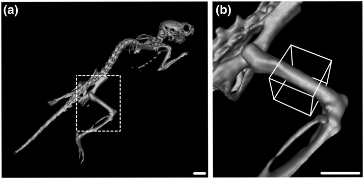 Figure 6.