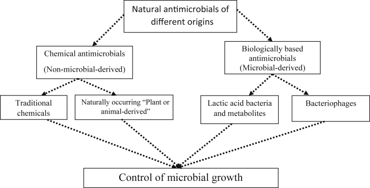 Figure 1