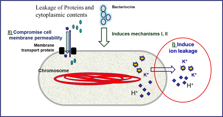 Figure 3