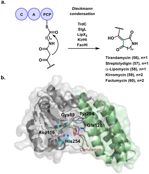 Figure 19.