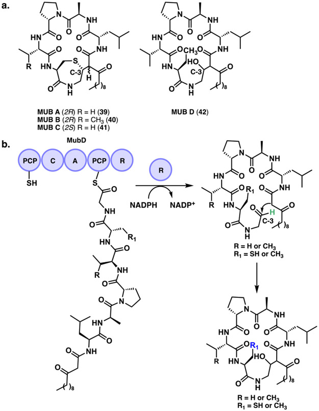 Figure 14