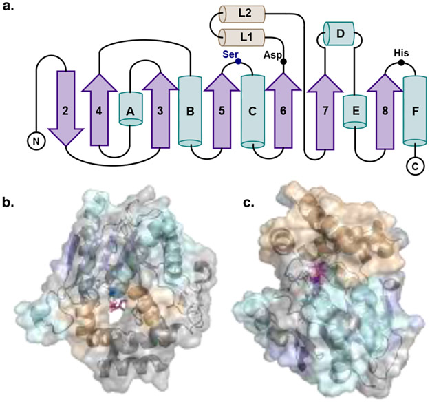 Figure 2.