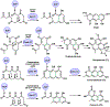 Figure 22.