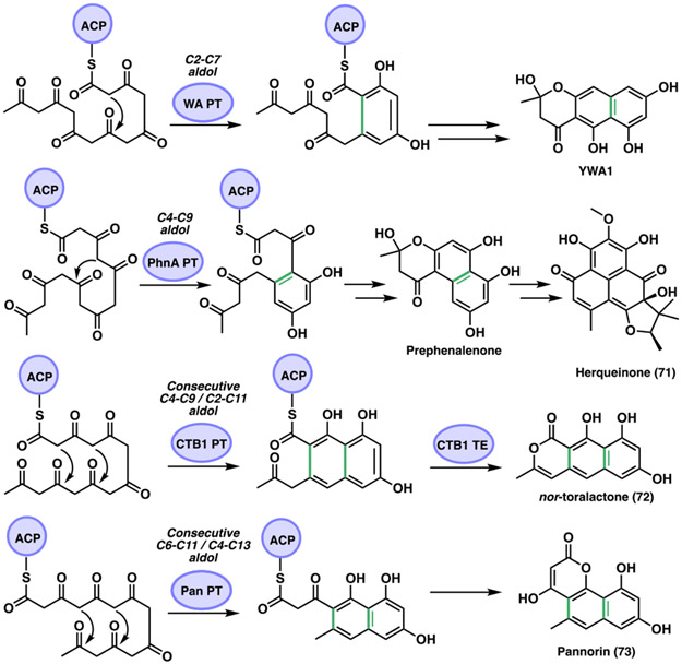 Figure 22.