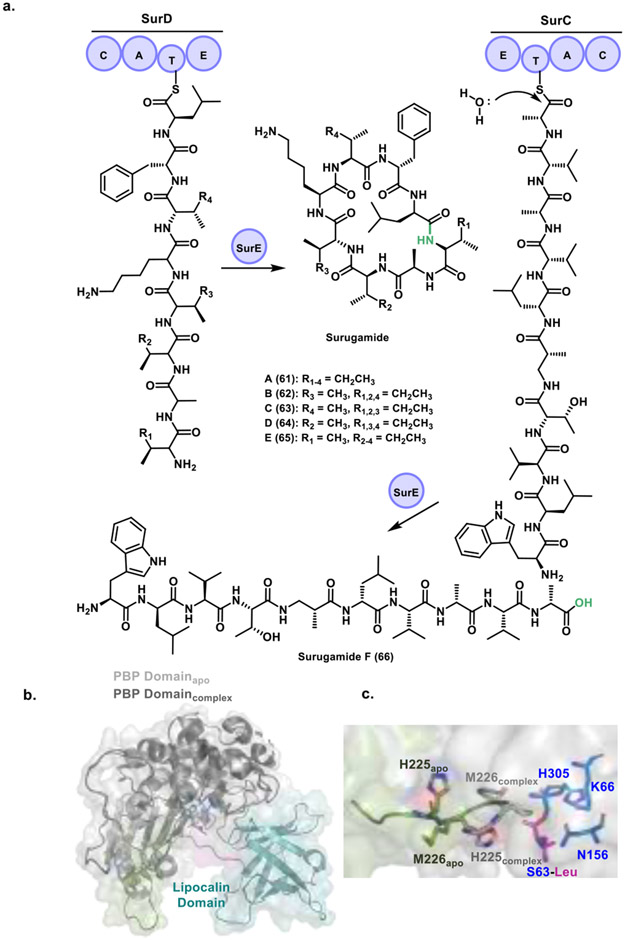 Figure 20