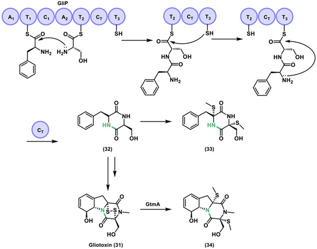 Figure 12.