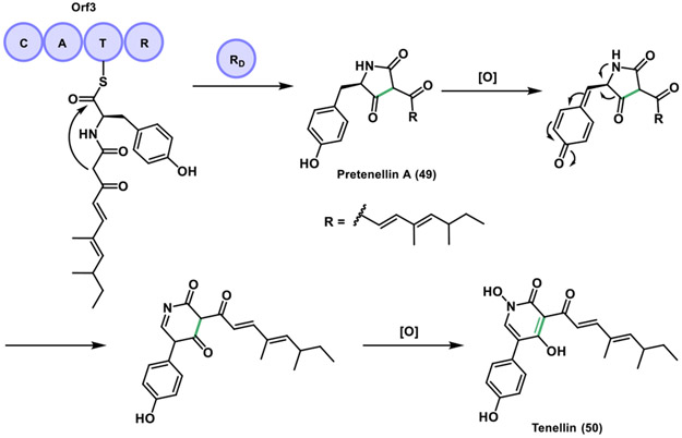 Figure 17.