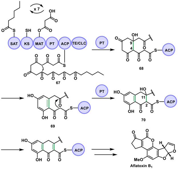 Figure 21.