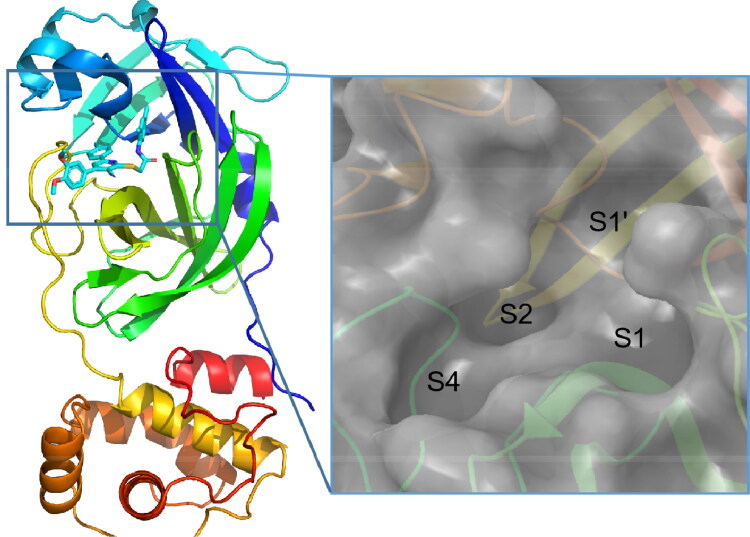 Figure 1.