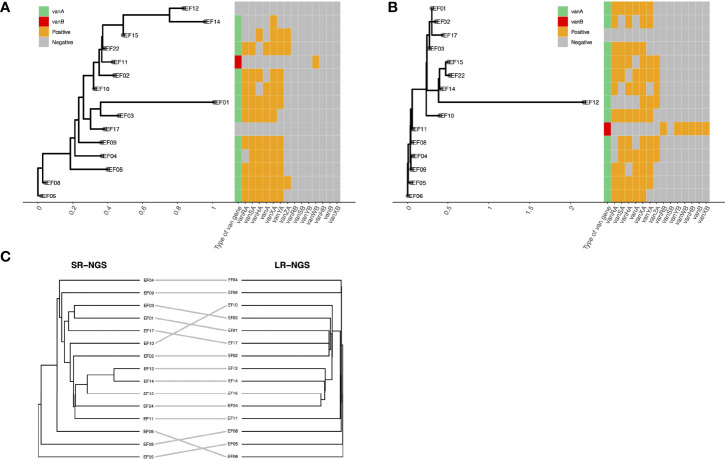 Figure 3