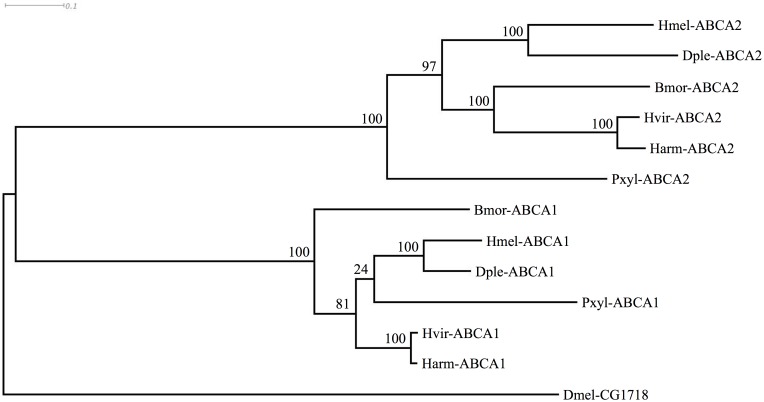 Fig 6