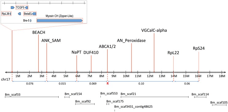 Fig 2