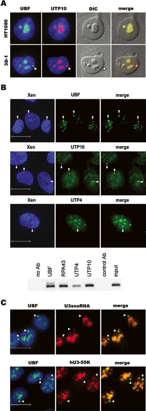 Figure 6.