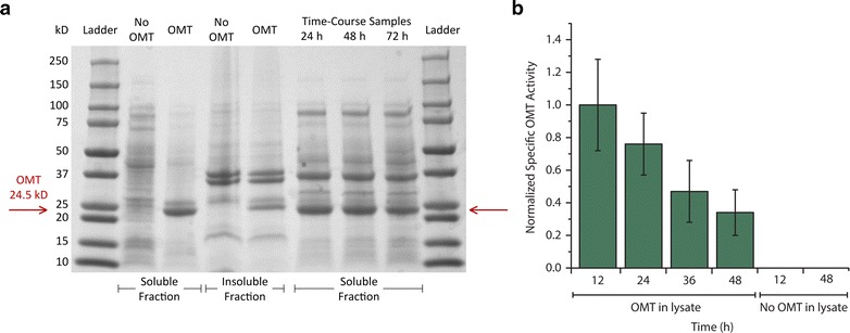 Fig. 2