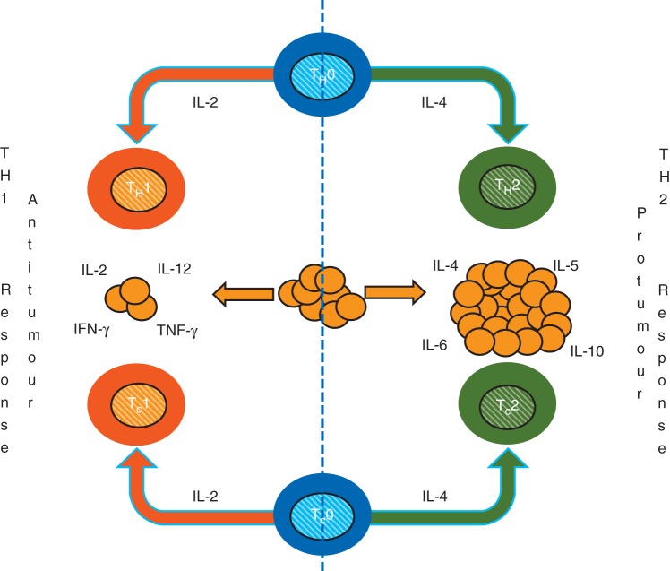 Fig 1