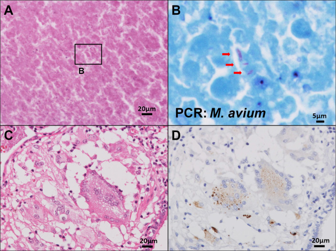 Figure 2.