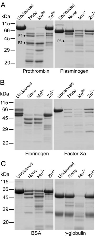 FIG. 3.