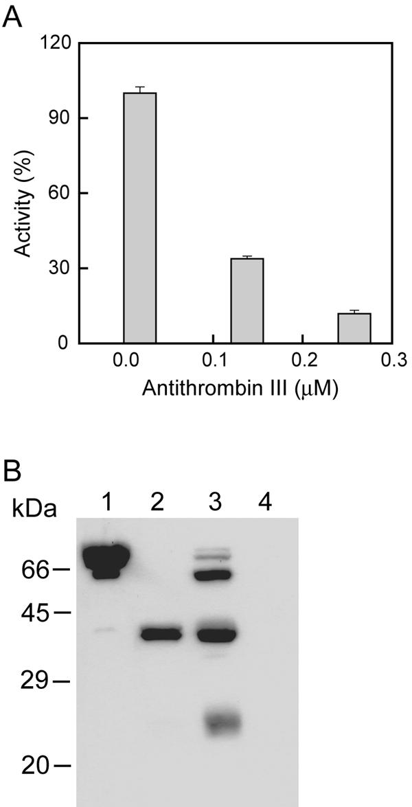 FIG. 5.