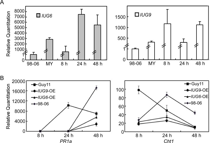 Fig 10