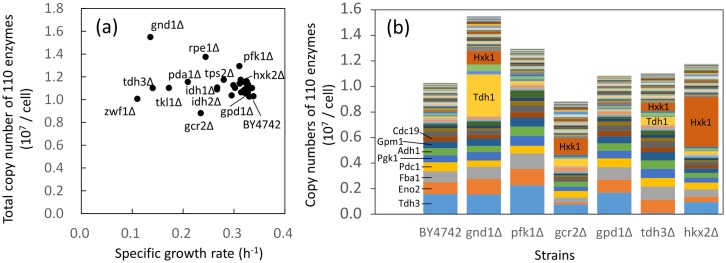 Fig 5