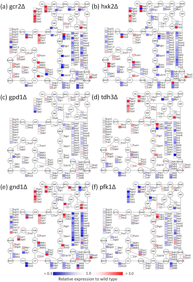 Fig 2