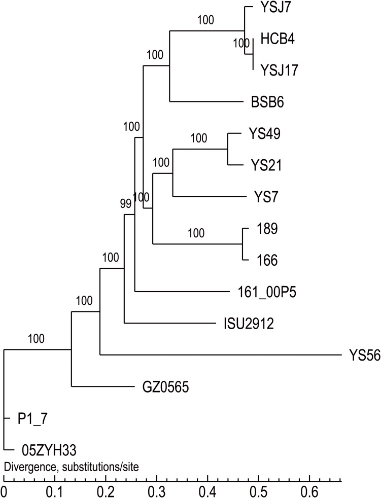 FIGURE 2