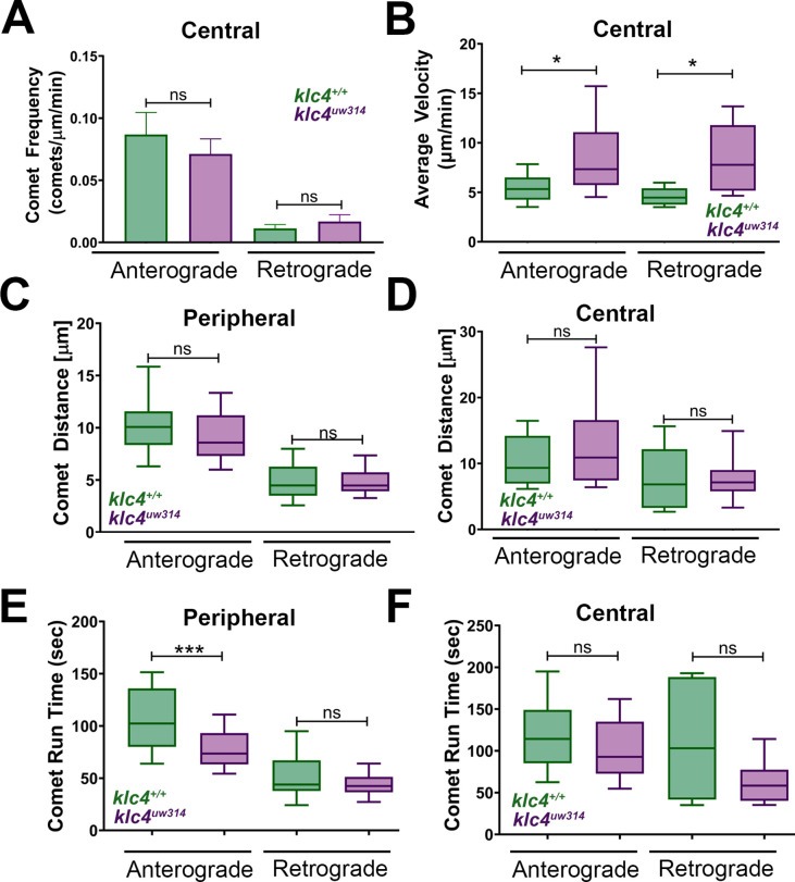 Figure 9—figure supplement 1.