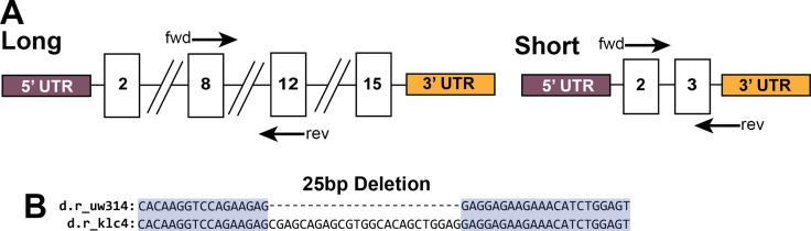 Figure 1—figure supplement 1.