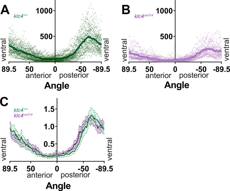 Figure 4—figure supplement 1.