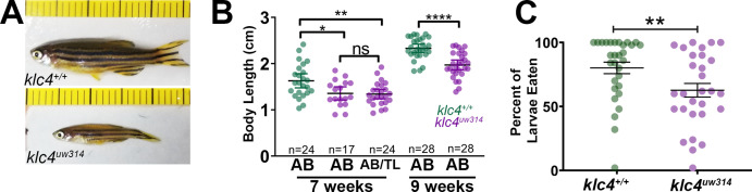 Figure 11—figure supplement 1.