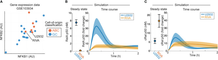 Figure 2