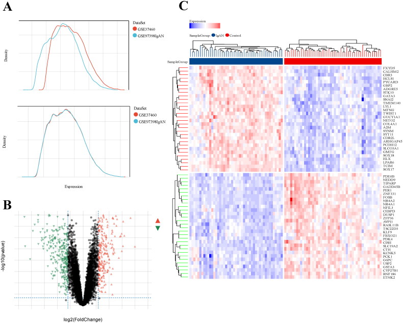 Figure 1.