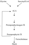 Fig. 1