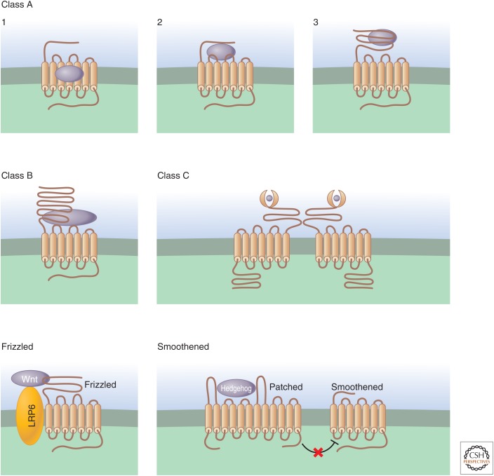 Figure 5.