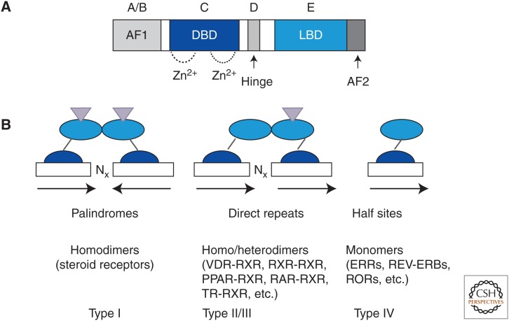 Figure 10.