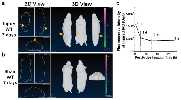 Fig. 4