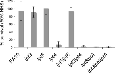 FIG. 1.