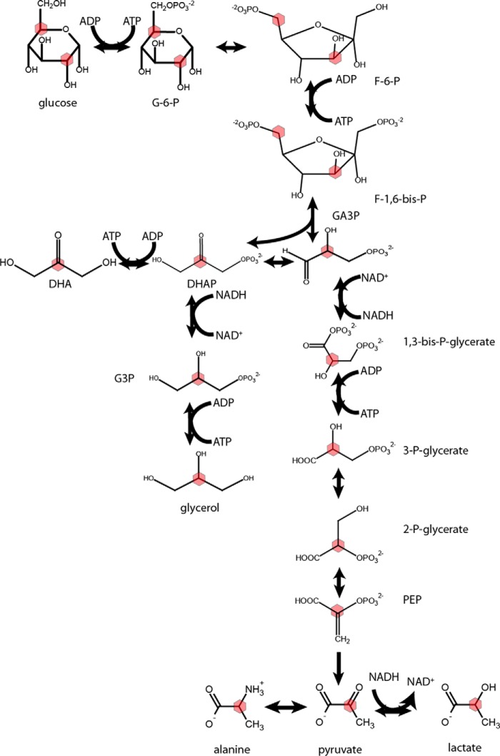 FIGURE 1.