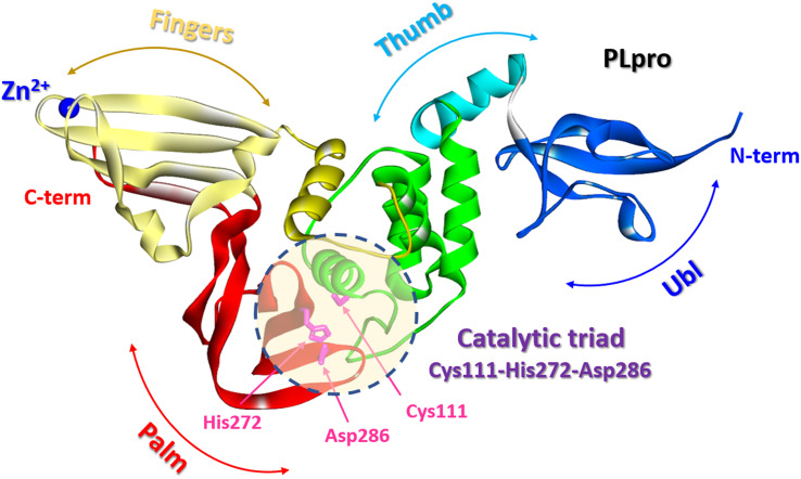 Fig. 19