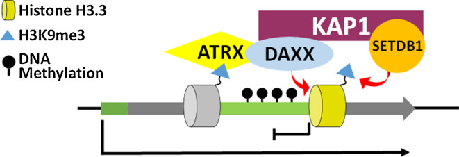 Fig. 6