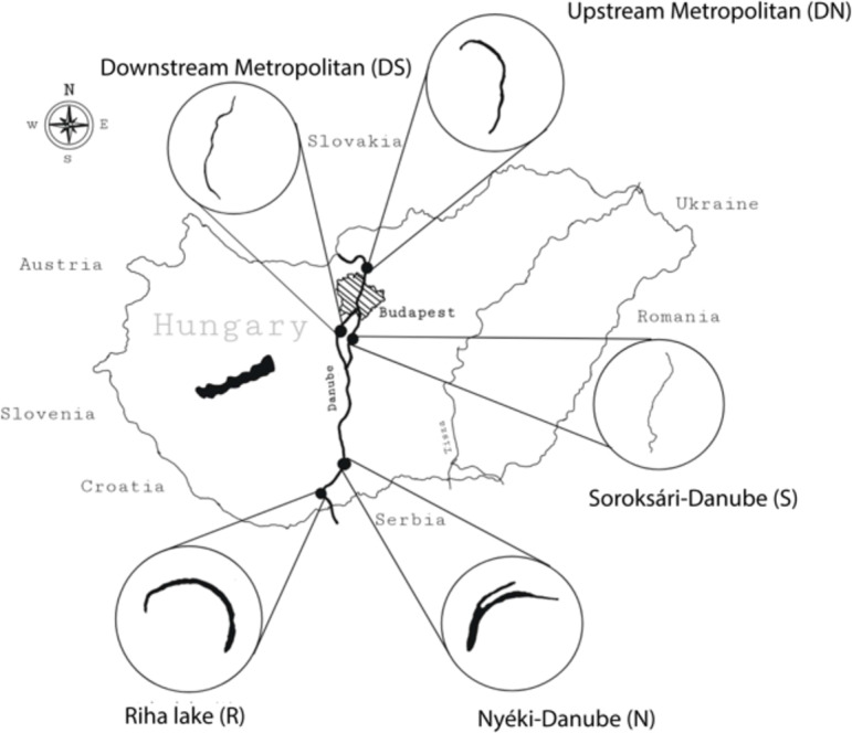 Fig. 5