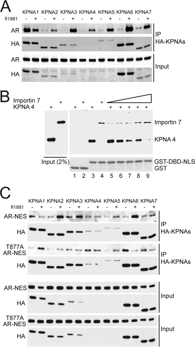 Fig 8