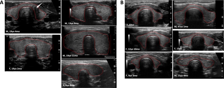 Figure 1.