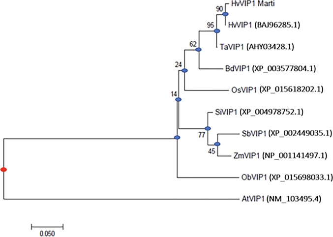 Fig 2